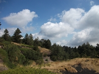 rrente Quarantore-20110911 140